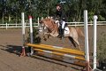 LC - Pony